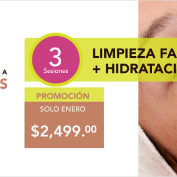 Limpieza Facial